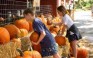 Shepherd's Pumpkinfest