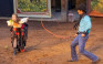Shepherd's Wild West Showdown