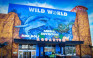Branson's Wild World