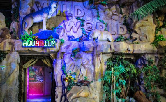 Branson's Wild World