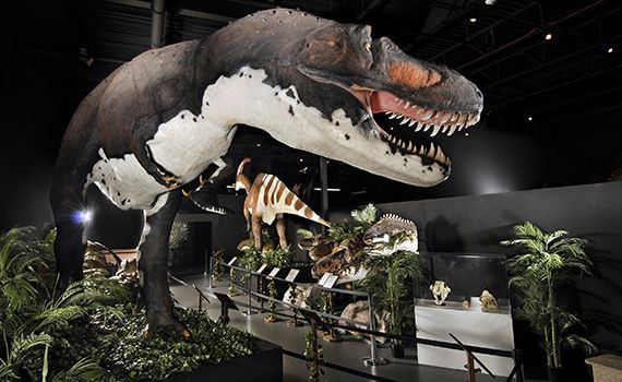 Branson Dinosaur Museum