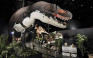 Branson Dinosaur Museum